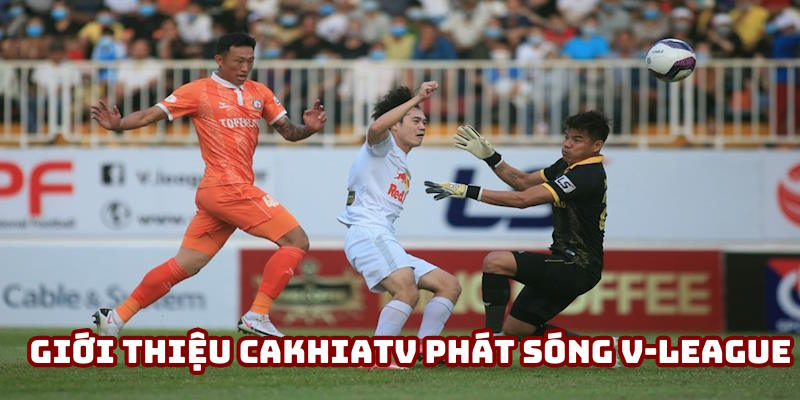 Thông tin sơ lược cakhiatv trực tiếp bóng đá V-League Thông tin sơ lược cakhiatv trực tiếp bóng đá V-League