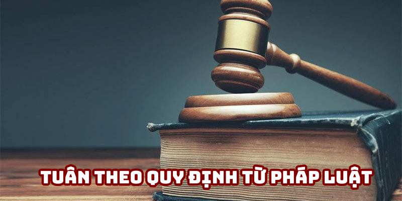 Nền tảng luôn tuân theo quy định từ pháp luật Nền tảng luôn tuân theo quy định từ pháp luật