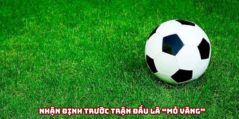 Nhận định trước trận đấu là “mỏ vàng” Nhận định trước trận đấu là “mỏ vàng”